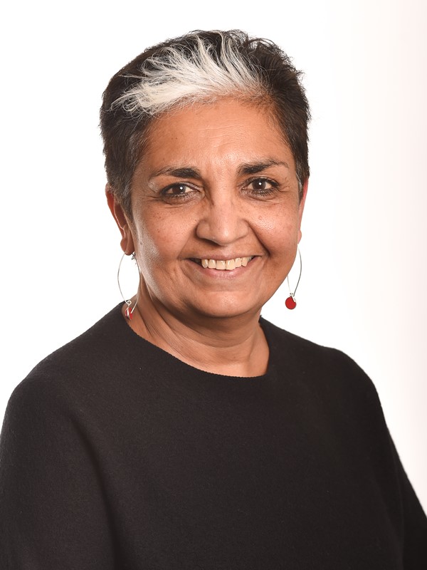 Arvinda Gohil - Non-Executive Director